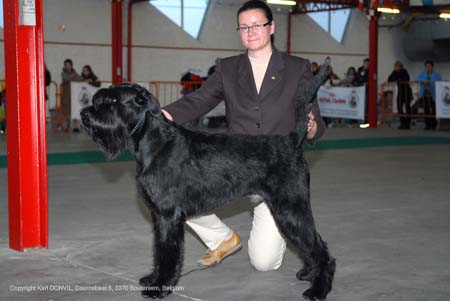 gal/Expo_janvier_2008/zoom (22).jpg